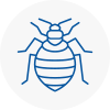 Bed Bug Extermination In Worcestershire