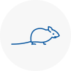 Mice Exterminators In Worcestershire